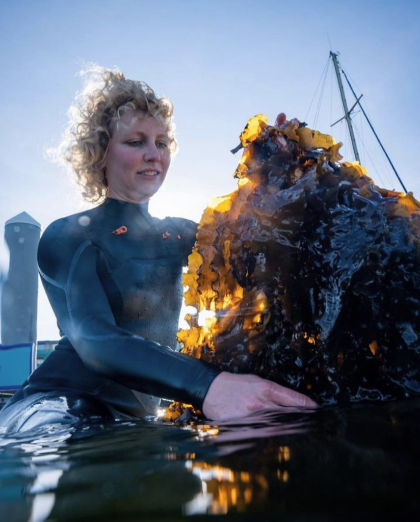 Nikki aan het oogsten in IJmuiden