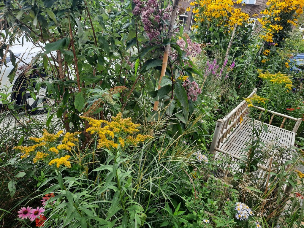 De weelderige tuin van Jolanda aan de Prinsesselaan in Beverwijk