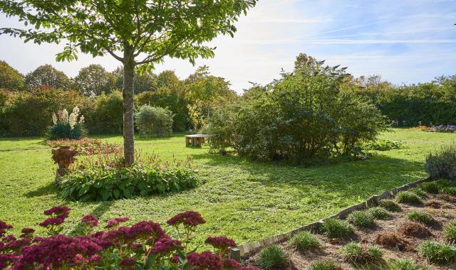 Vlindertuin in Overbos Beverwijk