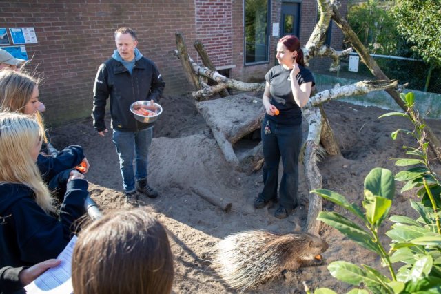 Dierentuin animal farm verbindt mensen