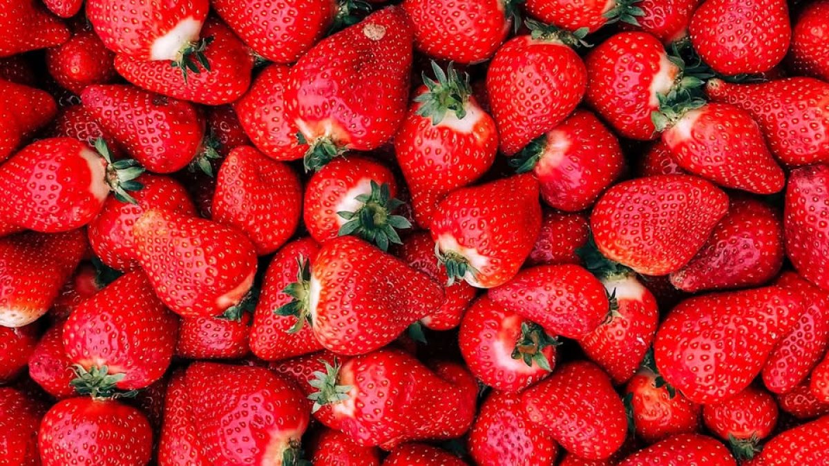 Volop kindervermaak tijdens Dag van de Aardbei op 3 juni