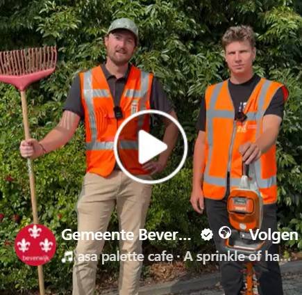 Reel over over snoeien van groen langs de erfgrens