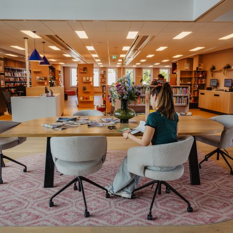 Bibliotheek in BRUIS (Bladel)