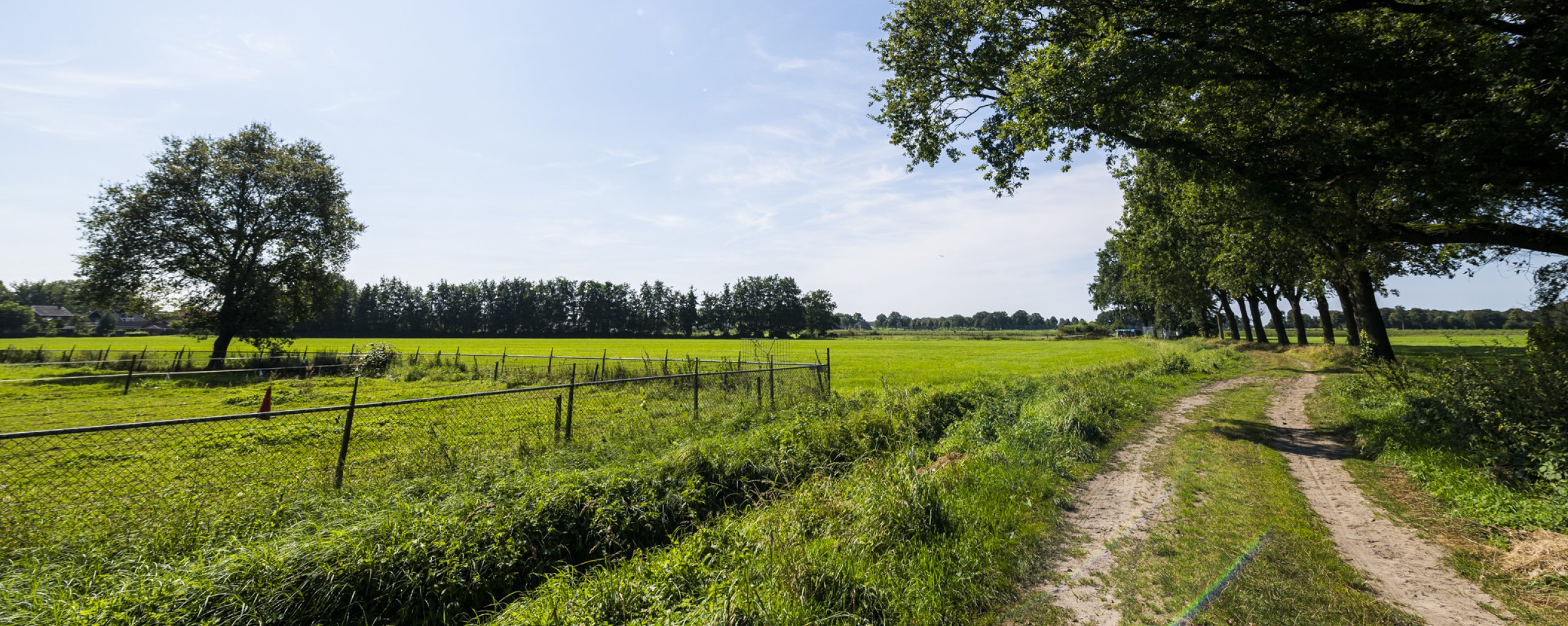 Een zandpad loopt langs een grasakker met daarnaast een rij bomen