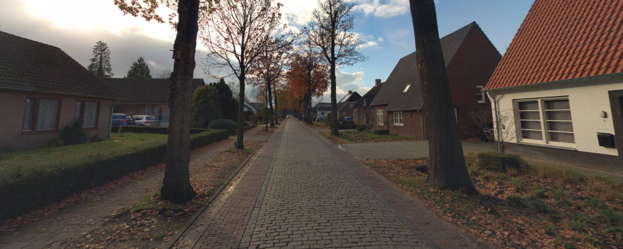 Casterseweg te Hoogeloon. Laan met bomen en huizen