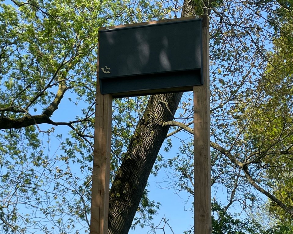 Vleermuiskast bij een boom