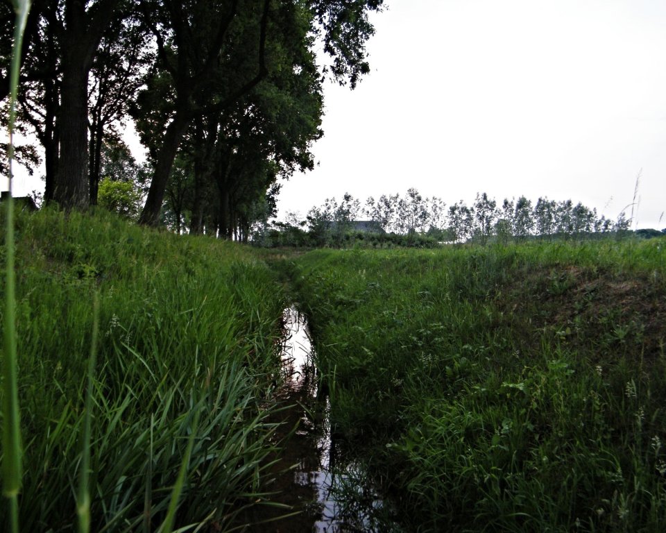 Bermsloot