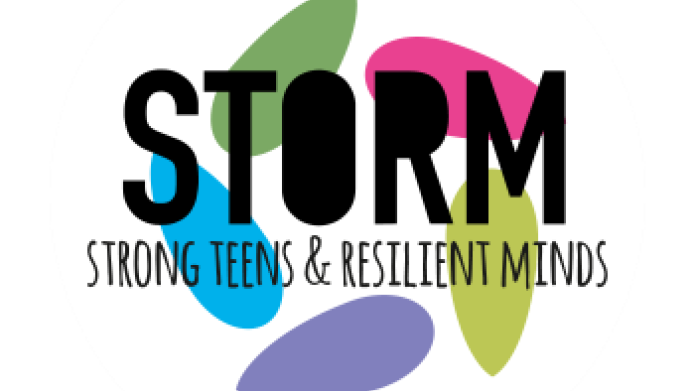 logo van Storm