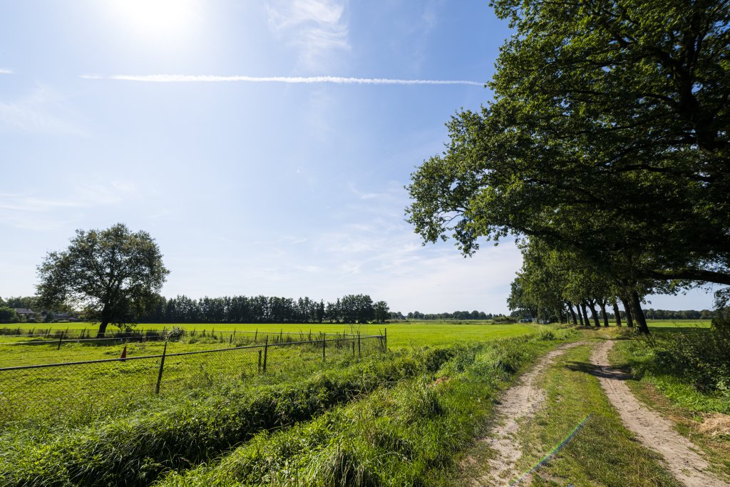 Een zandpad loopt langs een grasakker met daarnaast een rij bomen