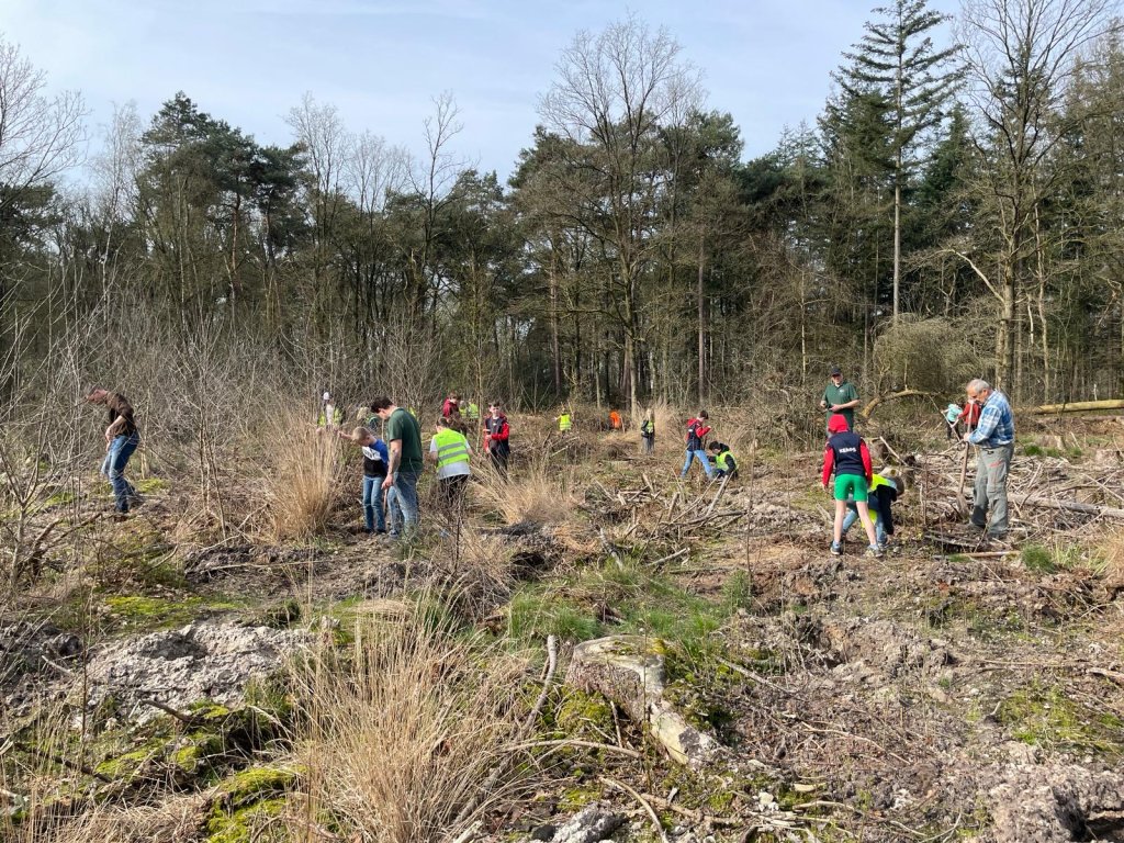 Kinderen planten bomen op Nationale boomfeestdag 2024