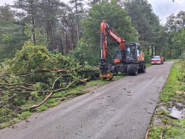 omgevallen bomen langs de weg met hulpdiensten die de bomen opruimen