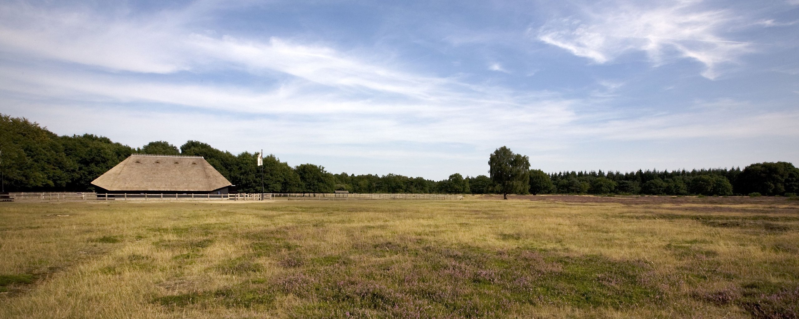 Blaricum Contact - Banner heideveld