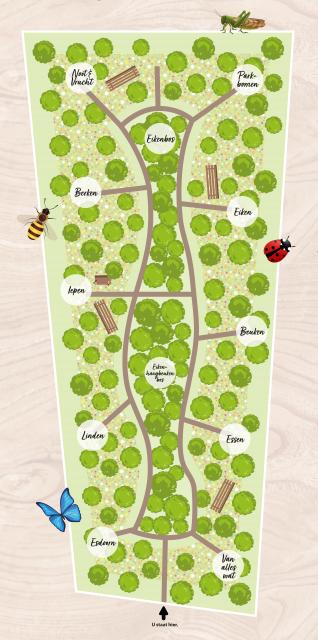 Plattegrond bomenbos