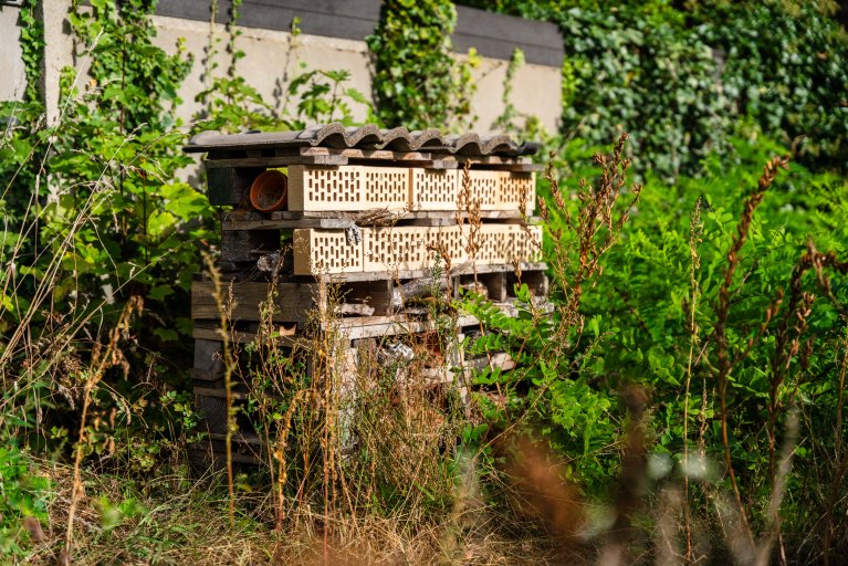 Insectenhotel gemaakt van hergebruikte materialen uit de omgeving.