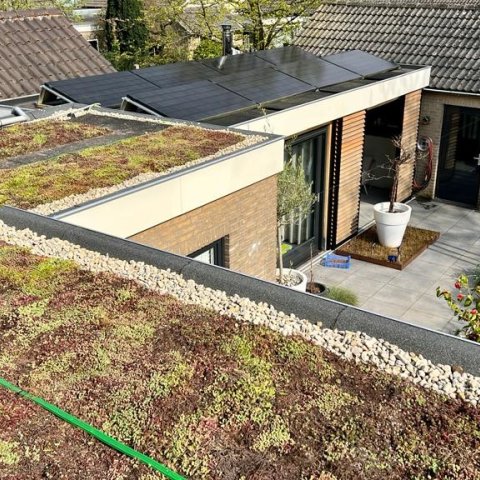 Groen dak - van idee naar actie met Buurtnatuur-waterfonds
