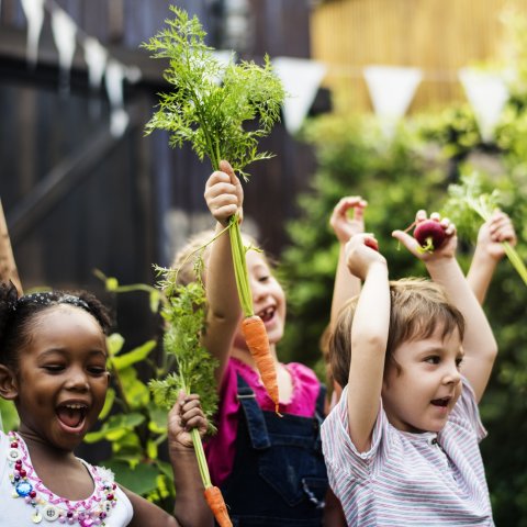 Blije kinderen met wortels in hun handen uit de moestuin van een school