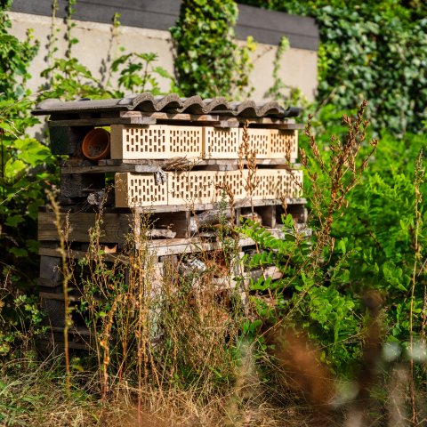 Dit insectenhotel is gemaakt van herbruikte materialen.