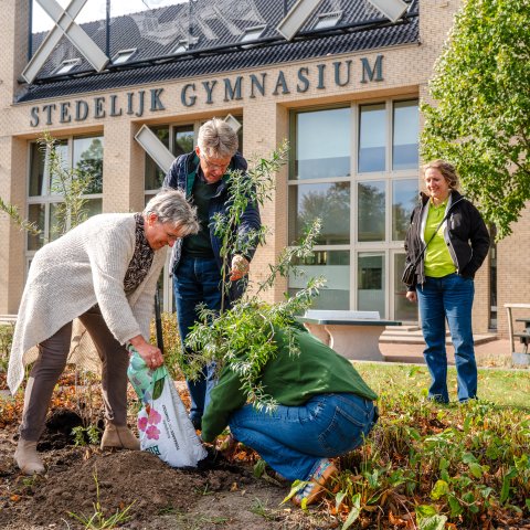 Waarnemend dijkgraaf Rian Govers plant samen met de leerlingen een boom op het schoolplein