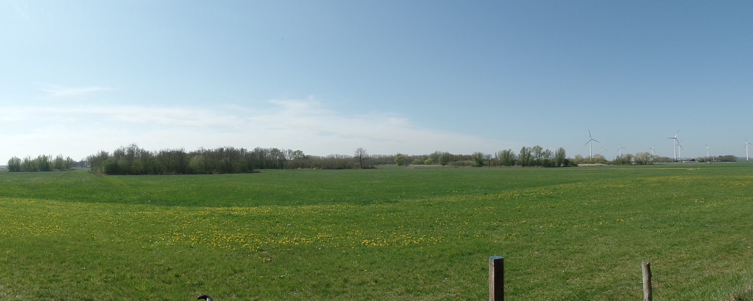 Een weiland met groen gras, struiken en een hekje.