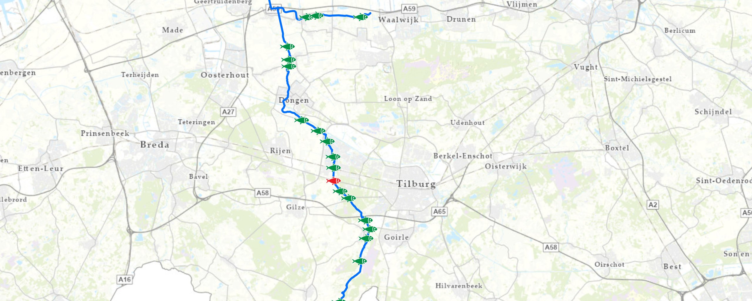 Kaart Dongesysteem - locatie rode vis is gemaal Keizersveer en stuw Bredaseweg. Zodra deze twee locaties vispasseerbaar zijn gemaakt, kunnen vissen vrij zwemmen vanaf de Bergsche Maas tot aan de Oude Leij in Alphen.
