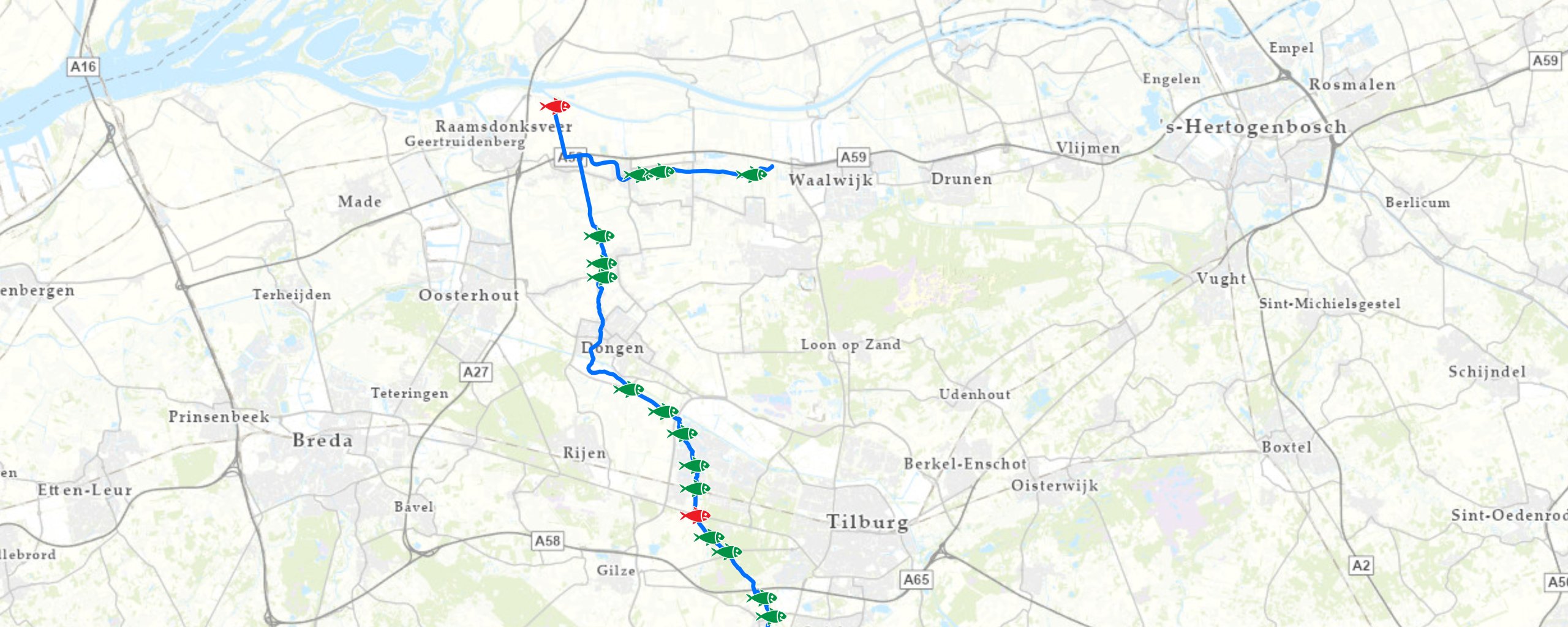 Kaart Dongesysteem - locatie rode vis is gemaal Keizersveer en stuw Bredaseweg. Zodra deze twee locaties vispasseerbaar zijn gemaakt, kunnen vissen vrij zwemmen vanaf de Bergsche Maas tot aan de Oude Leij in Alphen.