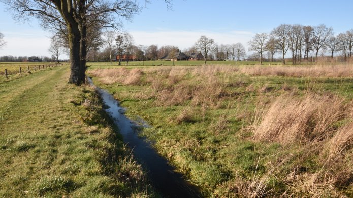 Flauw aangelegde oever langs een weiland in Ulicoten (gemeente Baarle-Nassau). Hierdoor wordt het water langer vastgehouden. Hiervoor heeft het waterschap subsidie verleend.