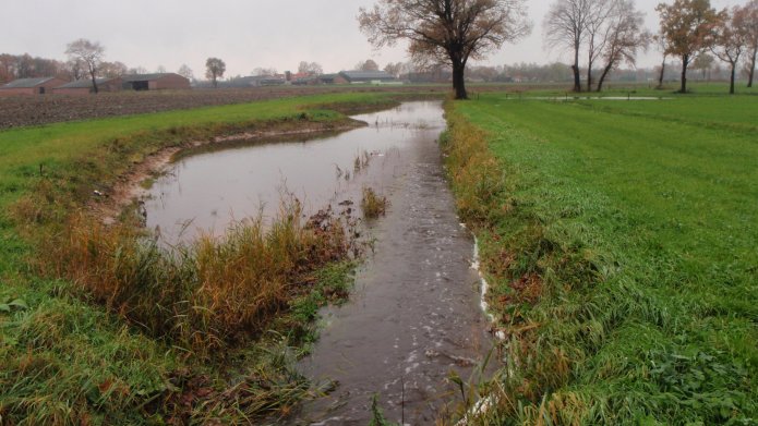 Nieuws | Waterschap Brabantse Delta