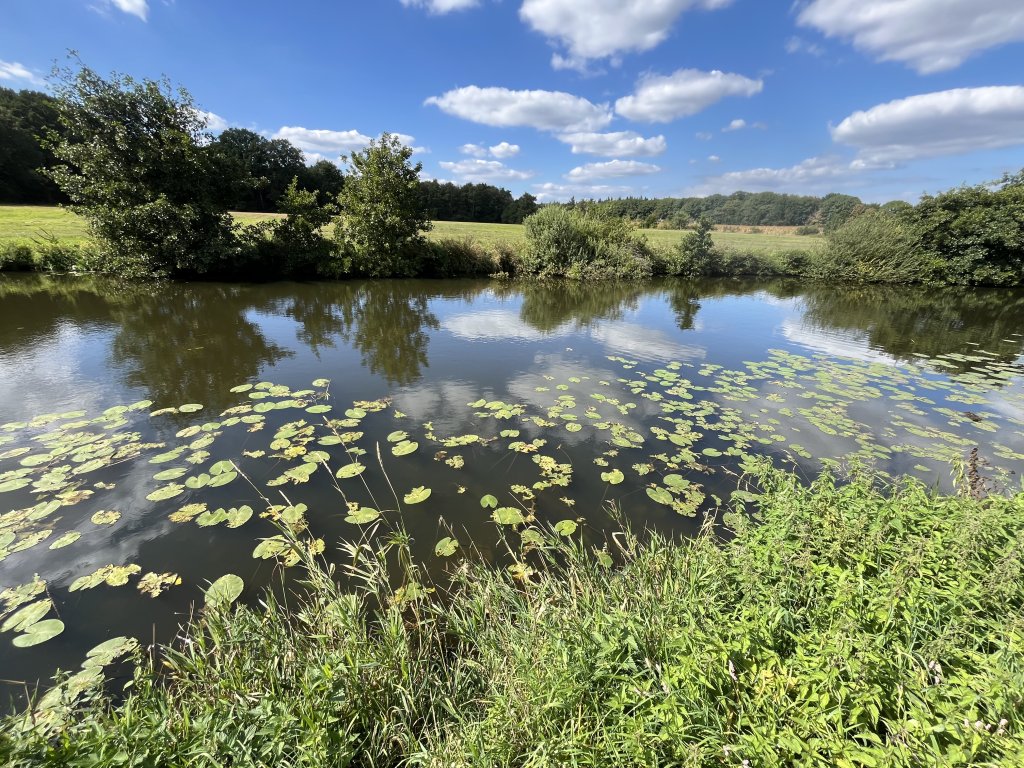 Herinrichting Markdal-Noord