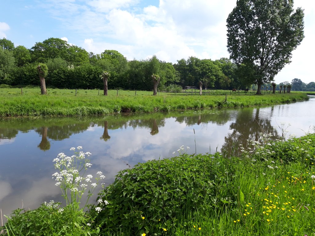 Markdal
