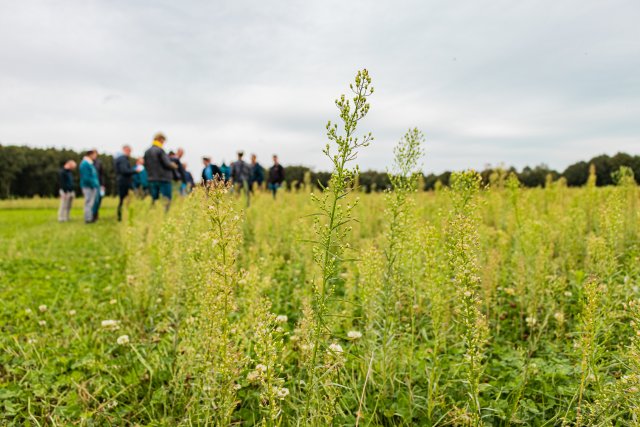 Nieuwe natuur in Reeshofweide Tilburg 