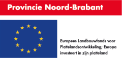 Gecombineerd logo Provincie Noord-Brabant en Europa