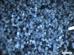 Vivianietkristallen afkomstig uit afvalwater