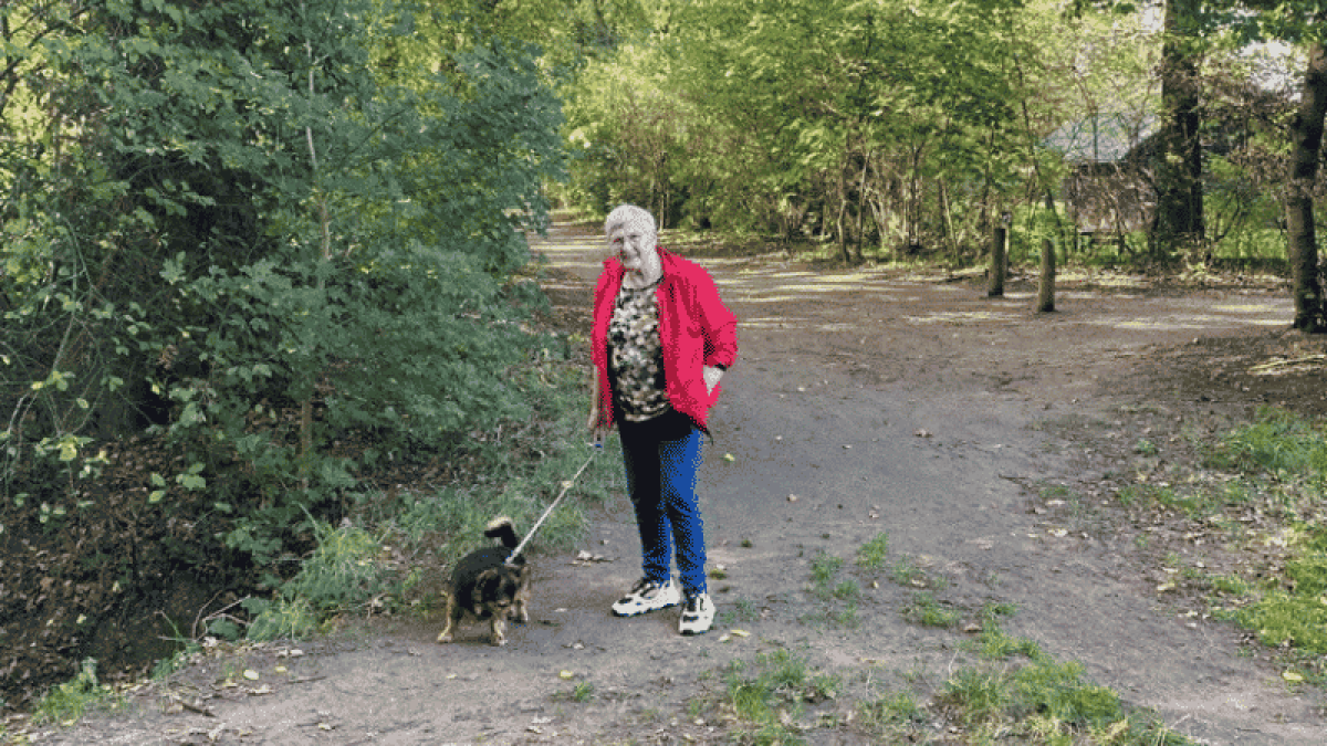 Pelikaanbos Zelhem wordt gedund