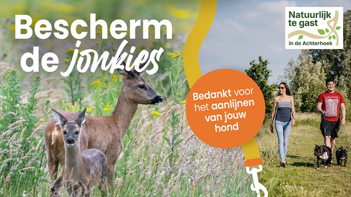 Bescherm de jonkies in het voorjaar