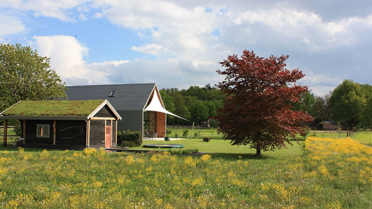 Martijn Bos uit Hengelo: “Groene energie is niet meer te stoppen, ontwikkelingen gaan heel snel”