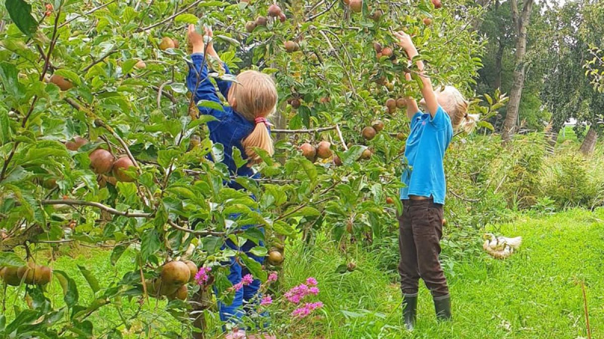 Volgende stap woningbouwplan Stokhorsterpark Hummelo