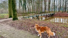 De brug bij het Knopenlaantje