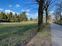 Wadi Bloemenbuurt Zelhem - veldje tussen de Toonkweg en de Orchideestraat