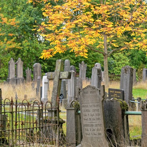Foto van historische graven op begraafplaats Loolaan