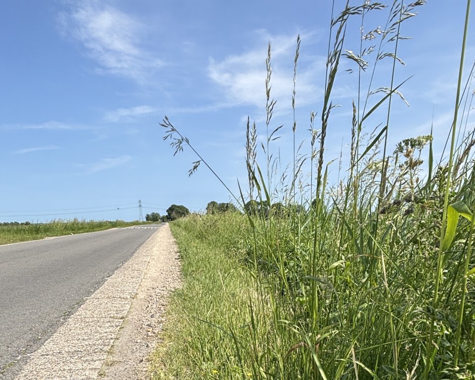 Berm Bunschoten