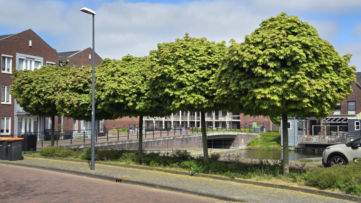 Geef je mening over openbaar groen in de gemeente Bunschoten
