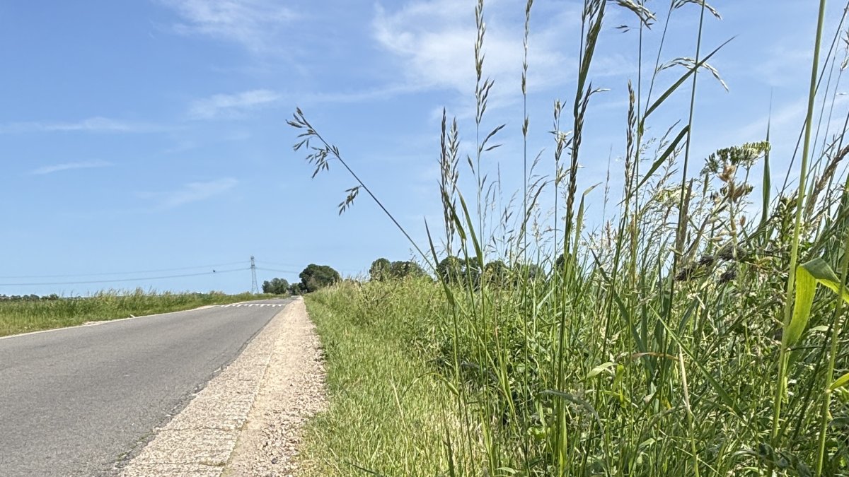 Nieuwe manier van maaien bermen en sloten in buitengebied