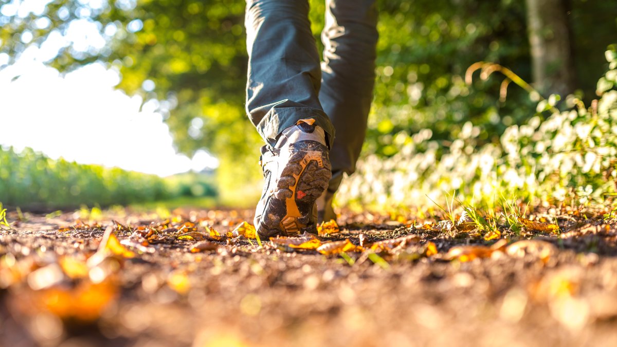 Loop mee met de Herinneringswandeling op Wereld Alzheimer Dag