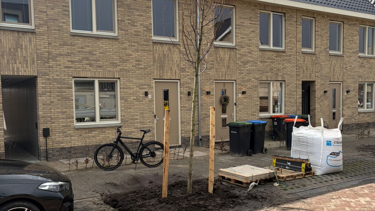 Inrichting openbare ruimte eiland 5 Rengerswetering