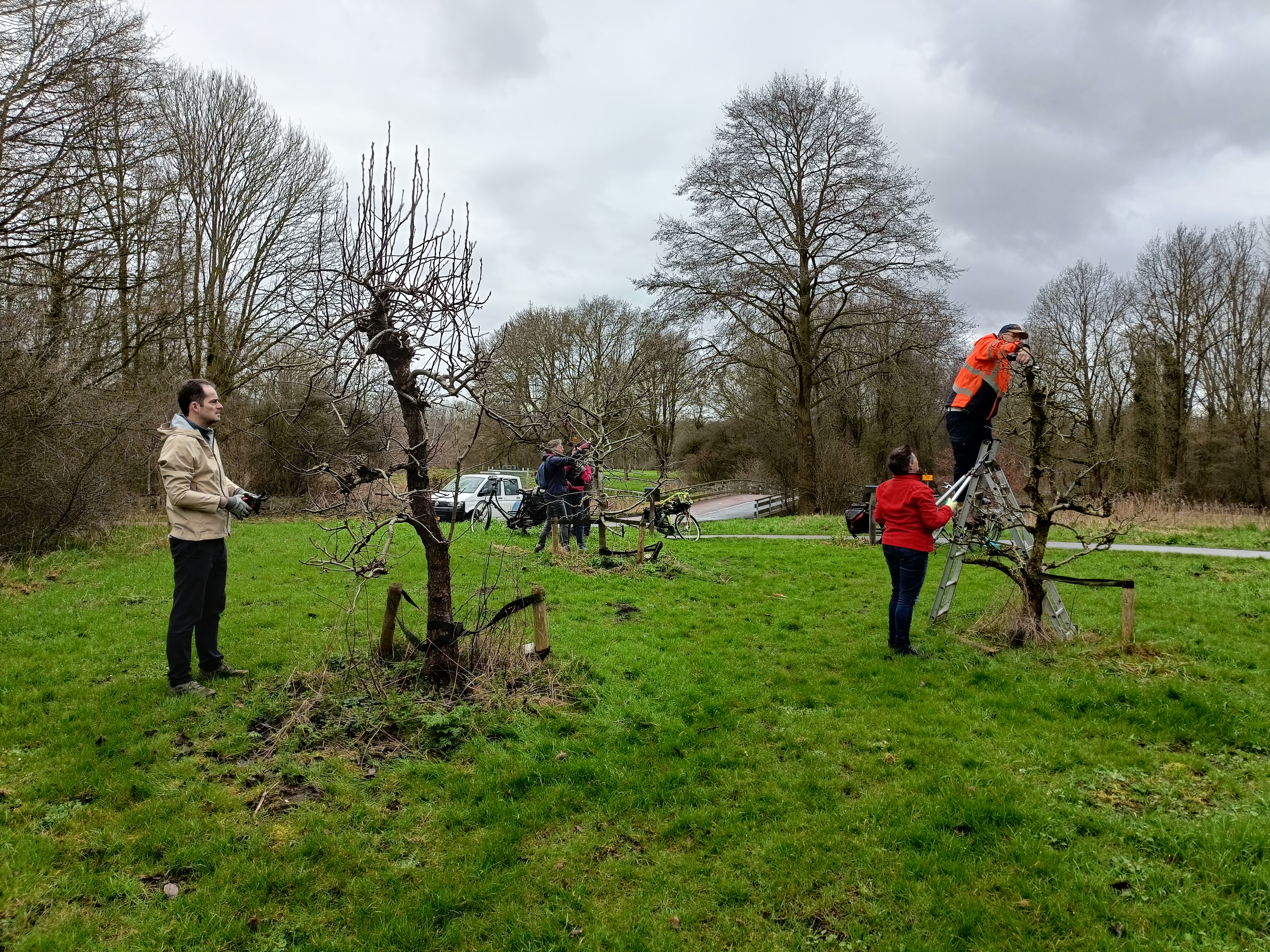 Vrijwilligers zijn de bomen aan het snoeien