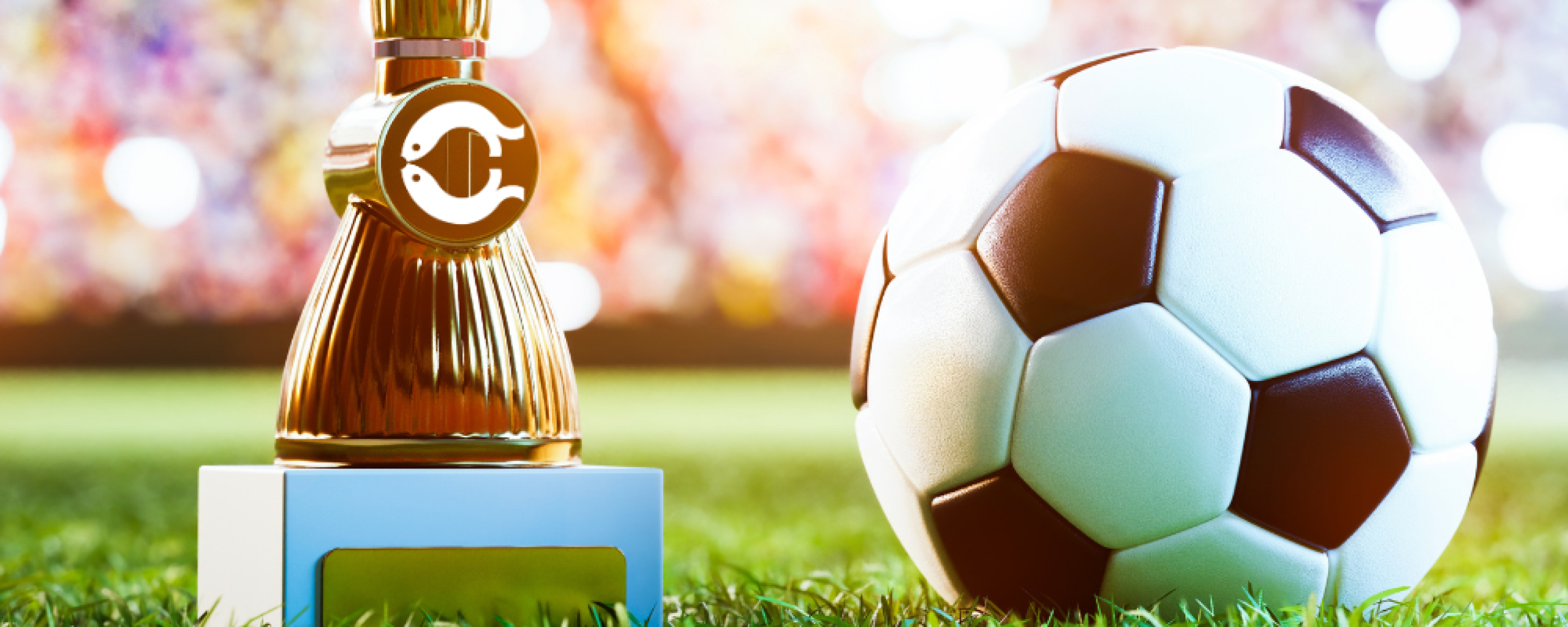 Foto van een trofee en een voetbal op het gras, met op de achtergrond publiek