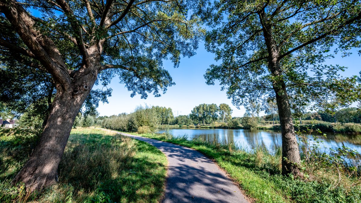 Blauwalg aangetroffen: vermijd het water