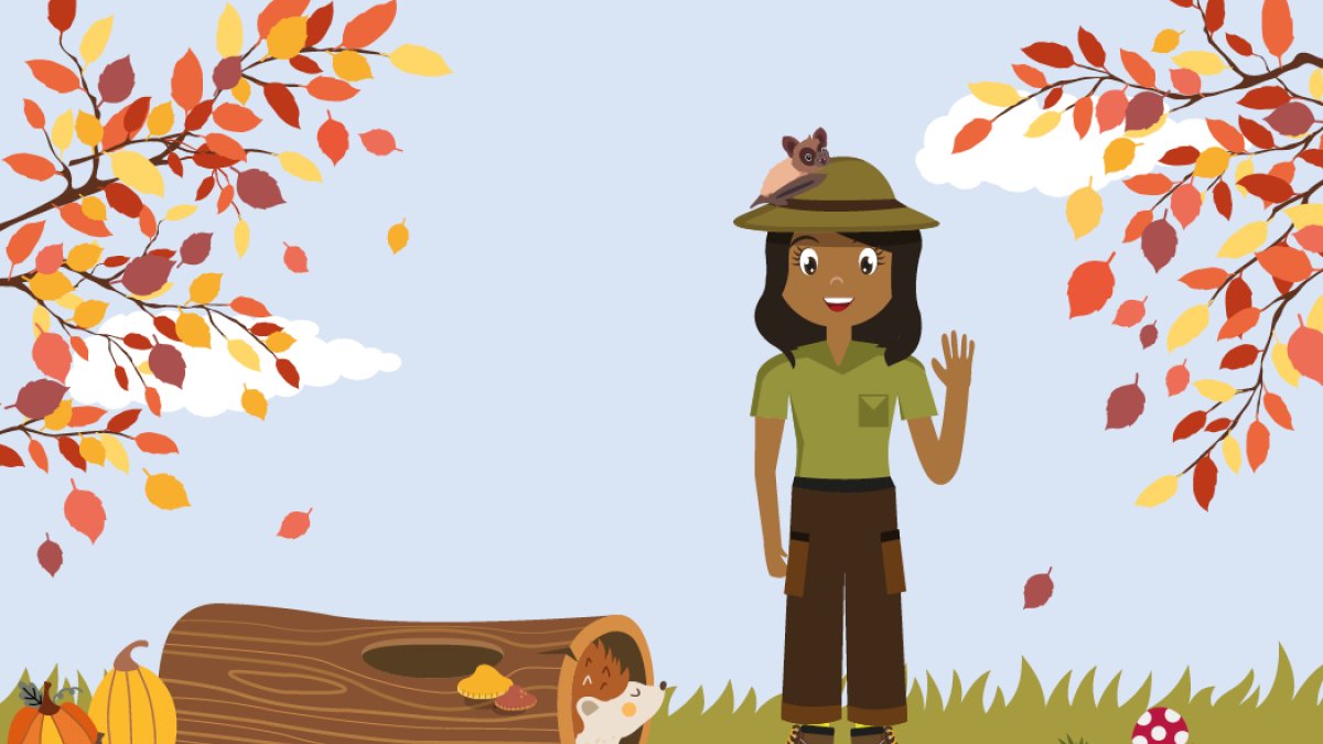 Herfstspeurtocht in het Schollebos