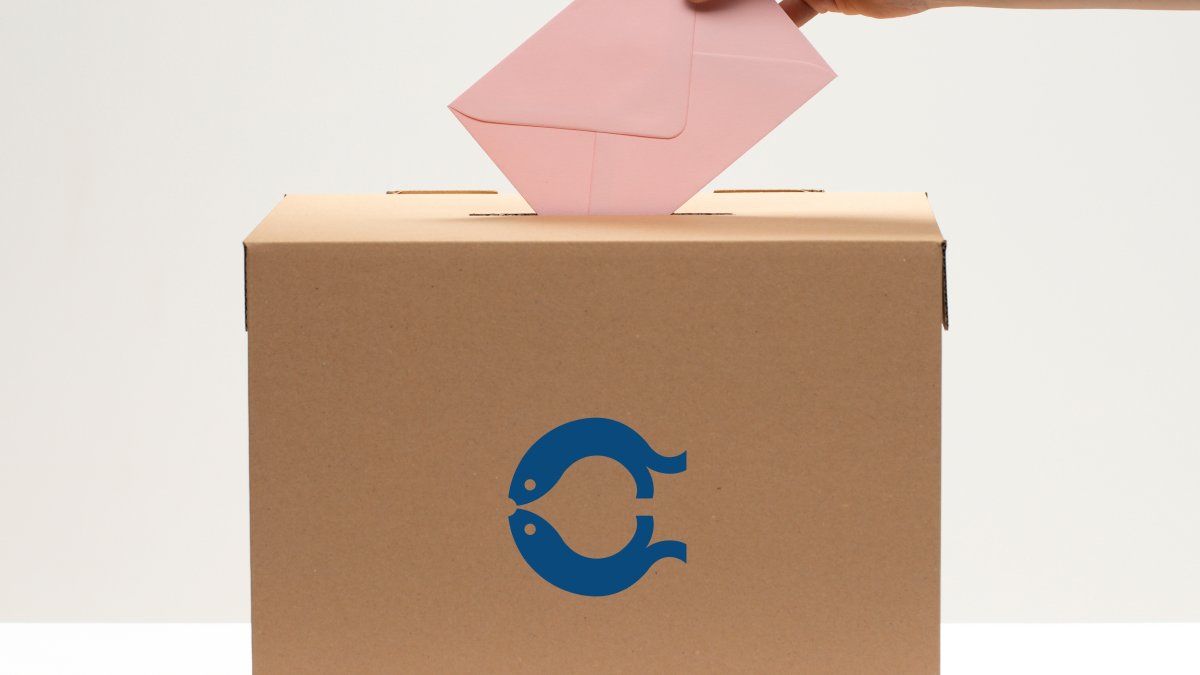 Op wie kunt u stemmen op 18 maart? Bekijk het op de website ‘Alle Kandidaten’