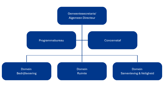 Organogram top- en hoofdstructuur gemeente Capelle aan de IJssel, beschrijving in de tekst